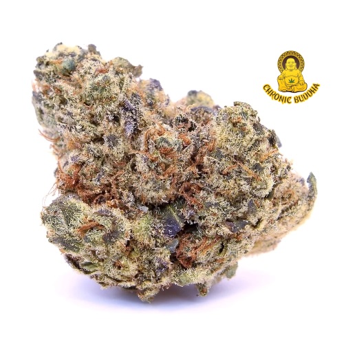 AFGHANI RUNTZ - Image 4