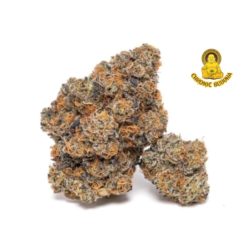 AFGHANI RUNTZ - Image 3