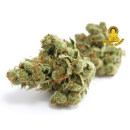 LS SNOOP DOG'S GREEN CRACK