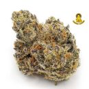 SUPER JACK HAZE