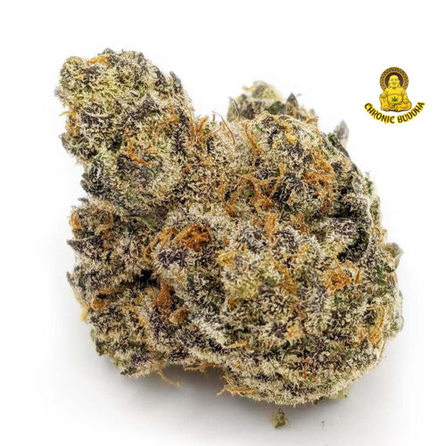 SUPER JACK HAZE