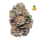 LEGEND SERIES SOUR RUNTZ