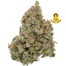 LS CHEM DIESEL