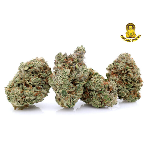 SOUR GORILLA