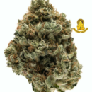 KOSHER KUSH