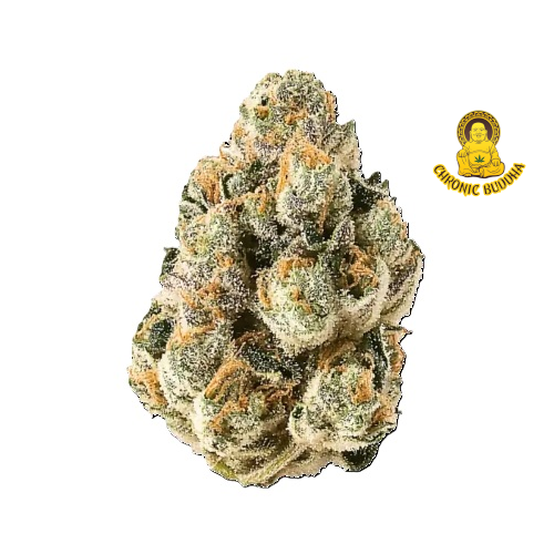 TURBO SOUR DIESEL