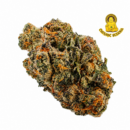 SNOOP DOGG'S OG