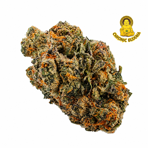 SNOOP DOGG'S OG